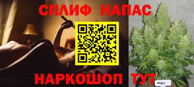 мдпв Новозыбков