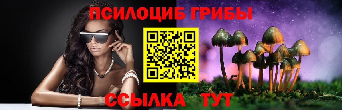 Тихорецк  Галлюциногенные грибы мицелий  Галлюциногенные грибы ЛСД  Вход с VPN 